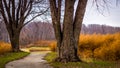 Path winding Through Overgrown Golf Course