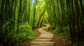 A path winds through a bamboo forest. Generative AI