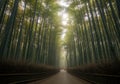 Bamboo forest path perspective Royalty Free Stock Photo