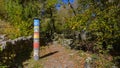 Colored pole in the woods