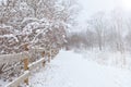 Winter road running between the frozen trees. Magic rays of the sun fall on the branches of trees. path at winter forest Royalty Free Stock Photo