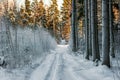 A path in the winter forest and snow-covered branches of trees a Royalty Free Stock Photo