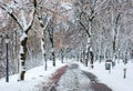 Path in winter park. Benches and trees covered by snow. Salt lake, Sosto, Hungary Royalty Free Stock Photo