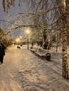 a path in the winter park in the evening. snow-covered benches stand next to a Christmas tree and a birch tree Royalty Free Stock Photo