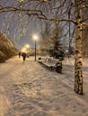 a path in the winter park in the evening. snow-covered benches stand next to a Christmas tree and a birch tree. Royalty Free Stock Photo