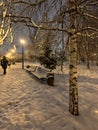 a path in the winter park in the evening. snow-covered benches stand next to a Christmas tree and a birch tree. Royalty Free Stock Photo