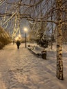 a path in the winter park in the evening. snow-covered benches stand next to a Christmas tree and a birch tree. people walk along Royalty Free Stock Photo