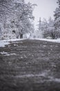 path in the winter park. the trees are covered with snow Royalty Free Stock Photo