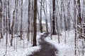 Path in wooded area covered in a light late spring fresh snow fall with a small yellow brick cottage in the background Royalty Free Stock Photo