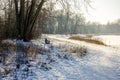 Lakeside in winter Royalty Free Stock Photo