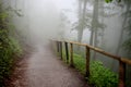 Path with wooden fence that goes through a foggy dark misterious forest Royalty Free Stock Photo