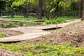 Path of wooden planks in park