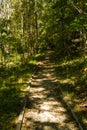 Path in a Woodland Marsh in Craig County, Virginia, USA