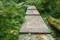 A Path through the woods Royalty Free Stock Photo