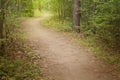 Path in the woods