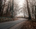 A path in the woods Royalty Free Stock Photo