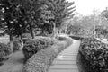 The path in xiamen university campus, black and white image Royalty Free Stock Photo