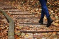 A path of yellow brick strewn with autumn leaves leads into the distance. Legs of a girl in blue jeans and boots are walking Royalty Free Stock Photo
