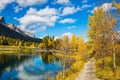 The path and yellowing aspens Royalty Free Stock Photo