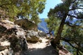 Path at Yosemite national park