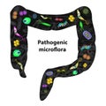 Pathogenic microflora in the intestine. Dysbacteriosis. Dysbiosis. Killed the good bacteria flora in the colon Royalty Free Stock Photo