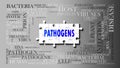 Pathogens - a complex subject, related to many concepts. Pictured as a puzzle and a word cloud made of most important ideas and