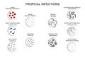 The pathogens of tropical infections Royalty Free Stock Photo