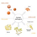 Pathogens. types of infectious agents