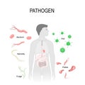 Pathogens: virus, bacteria, fungus, helminths and Protists.