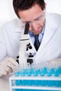 Pathologist or lab technician using a microscope Royalty Free Stock Photo