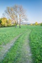 A pathroad in Bieszczady Mountains Royalty Free Stock Photo