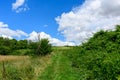 The paths on the banks of the Loire in Europe, in France, in Burgundy, in Nievre, in Pouilly sur Loire, towards Nevers, in summer