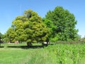 The paths and broad horizons, full of green, are only seen by those who go to the countryside .