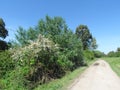 The paths and broad horizons, full of green, are only seen by those who go to the countryside .