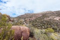 Freycinet Peninsula Circuit in Tasmania Australia