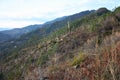 Paths lost along the paths of the Apuan Alps in Tuscany. Gothic line dating back to the World War. forgotten and abandoned places