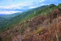 Paths lost along the paths of the Apuan Alps in Tuscany. Gothic line dating back to the World War. forgotten and abandoned places