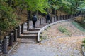 Paths reinforced with wooden structures on the steep slopes of Vorobyovy Gory, autumn 2020, Moscow