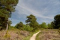 Arne Nature Reserve, Dorset