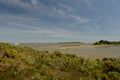 Arne Nature Reserve, Dorset