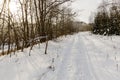 Paths running along the bank of the river flowing through the winter forest in front of the sunset Royalty Free Stock Photo