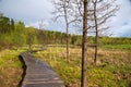 Paths of wooden flooring run through a beautiful spring park.