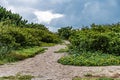 Nature`s Garden Pathway Over a Florida Sandune Royalty Free Stock Photo