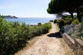 Pathway access sand beach ocean atlantic sea in arzon french brittany in France Royalty Free Stock Photo