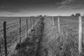 Pathway across field Royalty Free Stock Photo