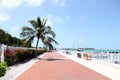 Pathway alongside keywest Royalty Free Stock Photo