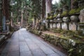 Pathway in Ancient Cemetery inside a Forest, Okunoin Cemetery, Wakayama, Japan Royalty Free Stock Photo