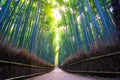 Arashiyama Bamboo Forest Grove, Kyoto Japan Royalty Free Stock Photo