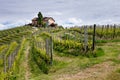 Farm amog Barolo vineyards. Viticulture, Langhe, Piedmont, Italy Royalty Free Stock Photo