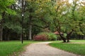 Pathway in beautiful public city park on autumn day Royalty Free Stock Photo